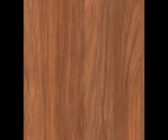 Afrika Ceviz Suntalam